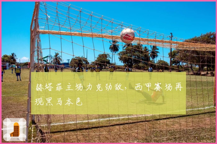 赫塔菲主场力克劲敌，西甲赛场再现黑马本色